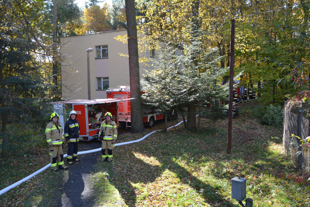 Strażacy ćwiczyli w Nitroergu