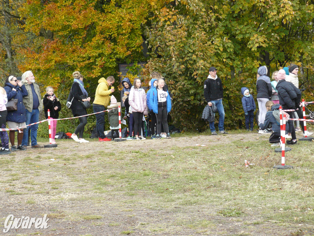 Radzionków. Ruszyła I Śląska Liga Biegowa