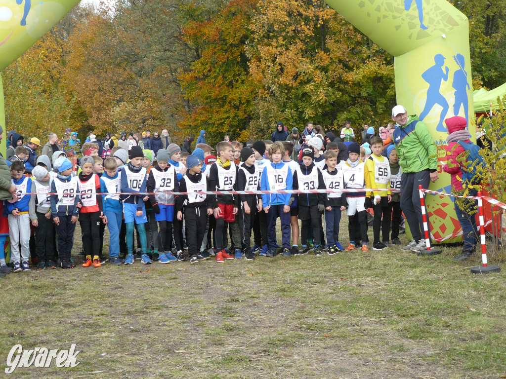 Radzionków. Ruszyła I Śląska Liga Biegowa