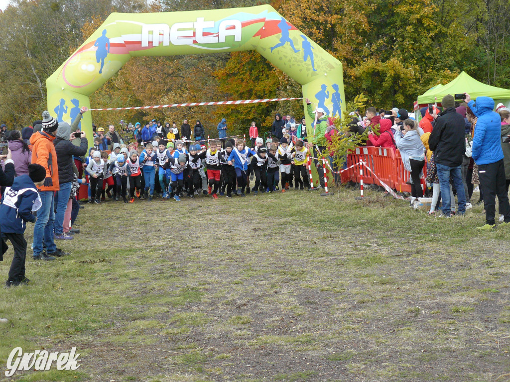 Radzionków. Ruszyła I Śląska Liga Biegowa