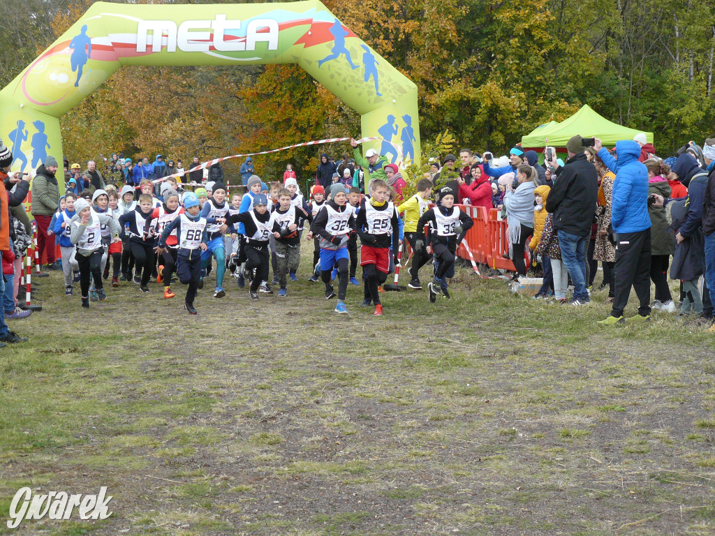 Radzionków. Ruszyła I Śląska Liga Biegowa
