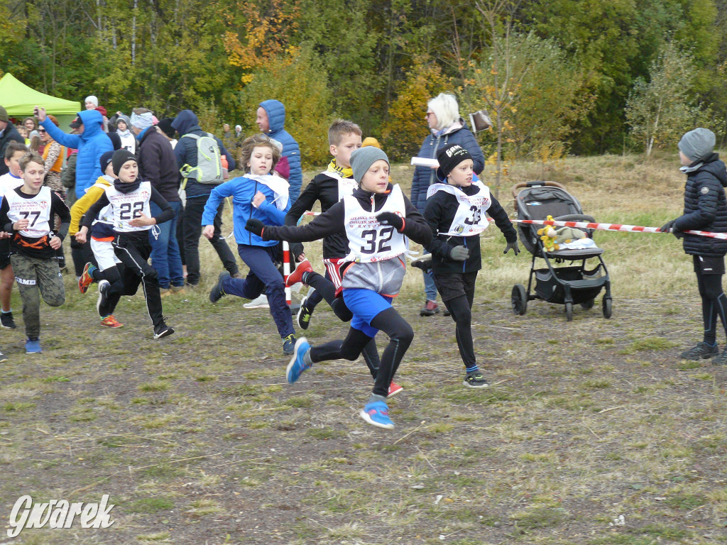 Radzionków. Ruszyła I Śląska Liga Biegowa