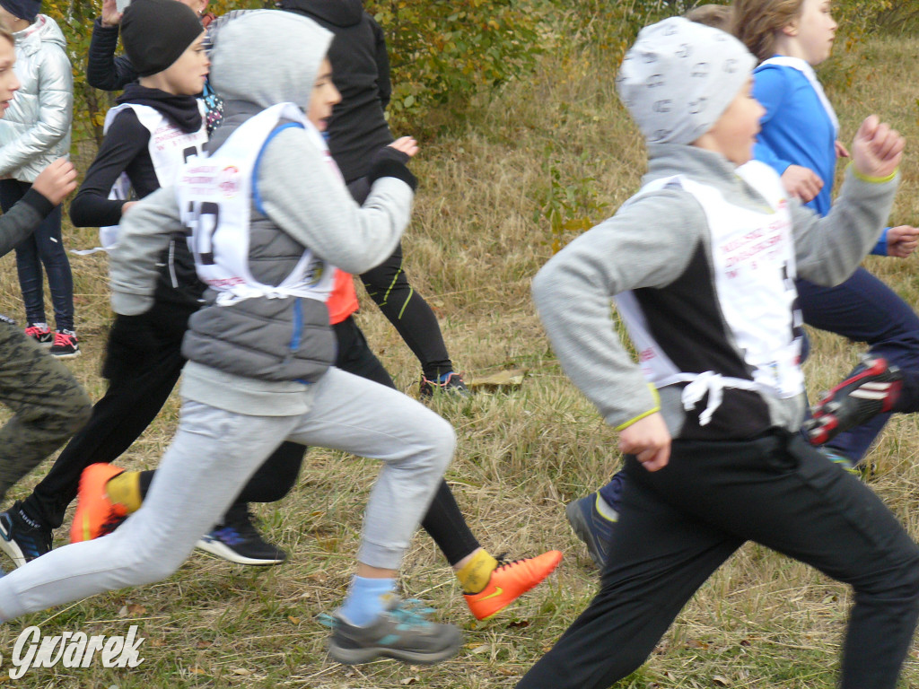 Radzionków. Ruszyła I Śląska Liga Biegowa