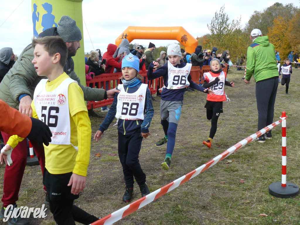 Radzionków. Ruszyła I Śląska Liga Biegowa