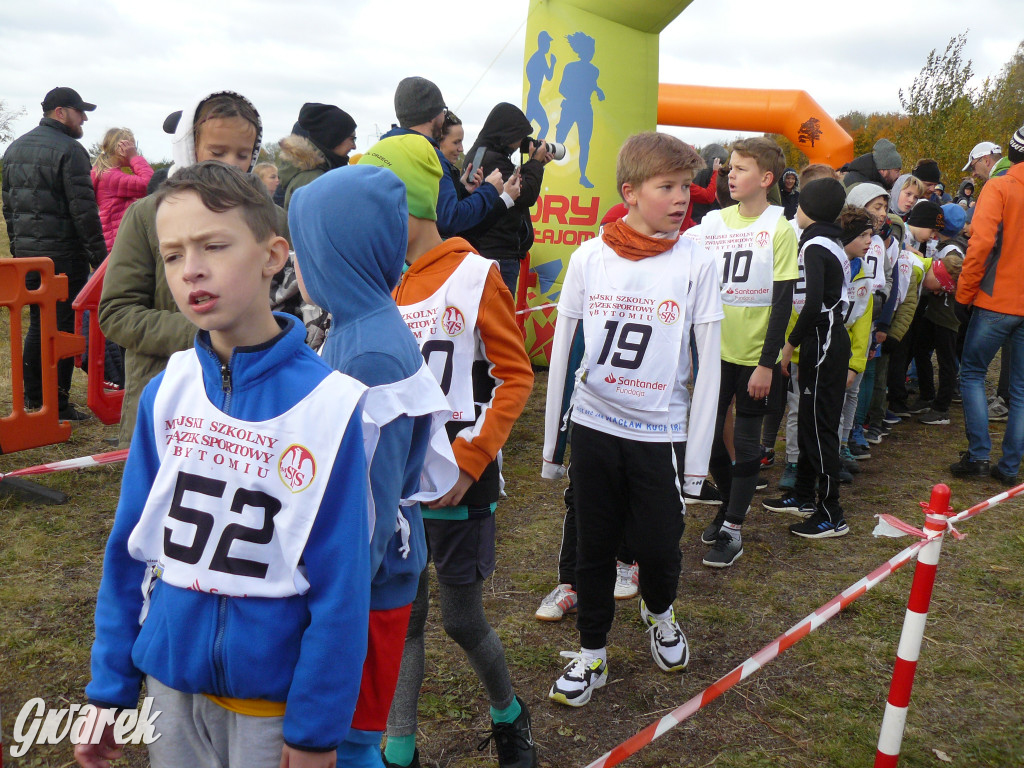 Radzionków. Ruszyła I Śląska Liga Biegowa