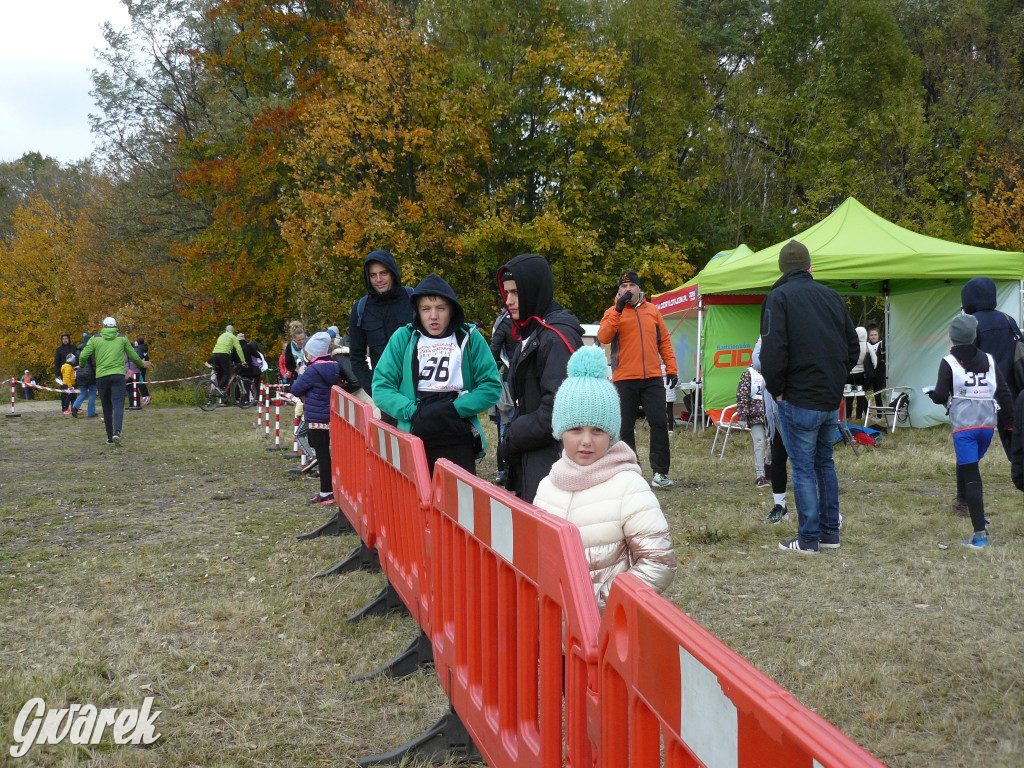 Radzionków. Ruszyła I Śląska Liga Biegowa
