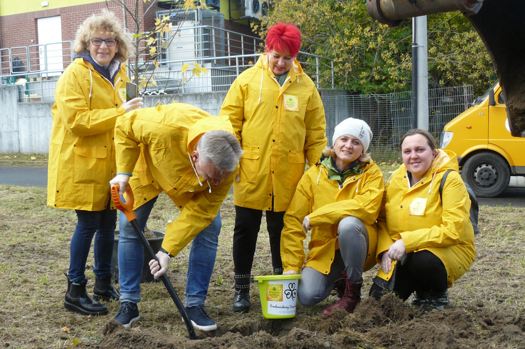 Osada Jana. Sadzenie drzew na skwerze przy Fiołków