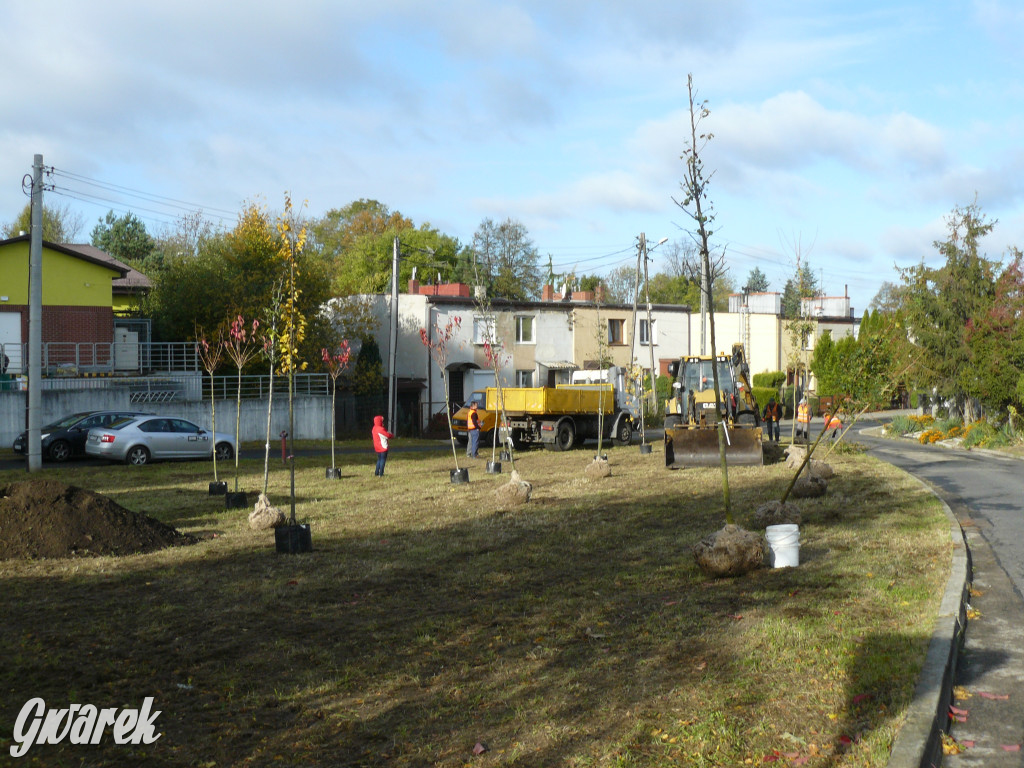 Osada Jana. Sadzenie drzew na skwerze przy Fiołków