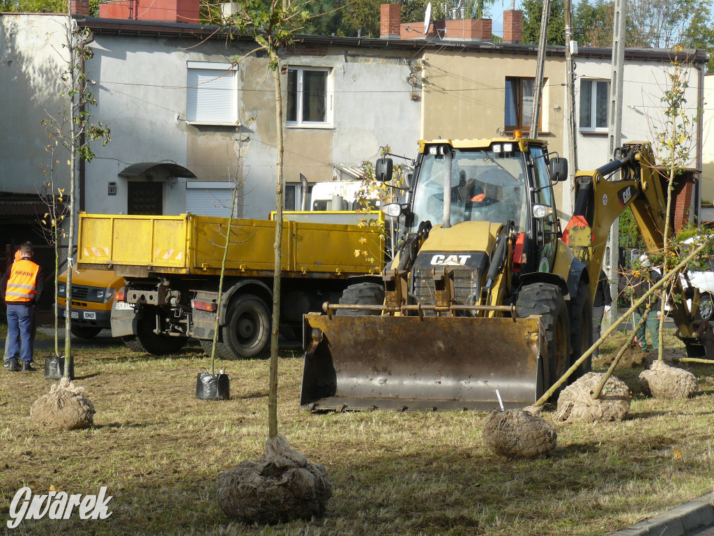 Osada Jana. Sadzenie drzew na skwerze przy Fiołków