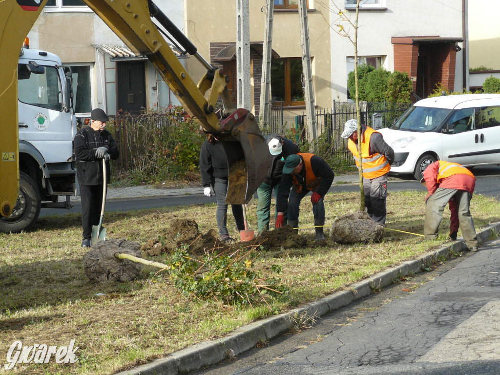 Osada Jana. Sadzenie drzew na skwerze przy Fiołków