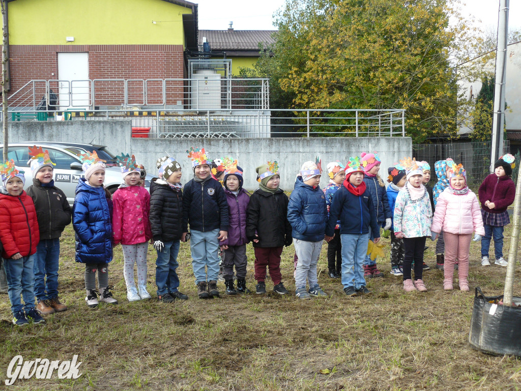 Osada Jana. Sadzenie drzew na skwerze przy Fiołków