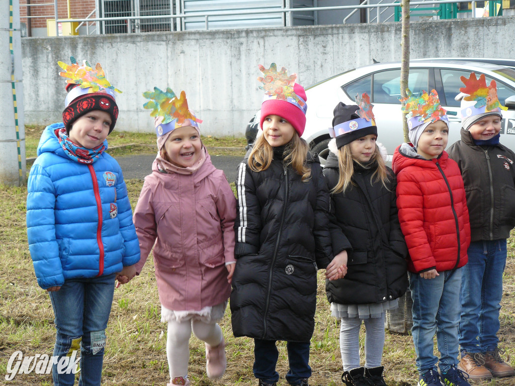Osada Jana. Sadzenie drzew na skwerze przy Fiołków