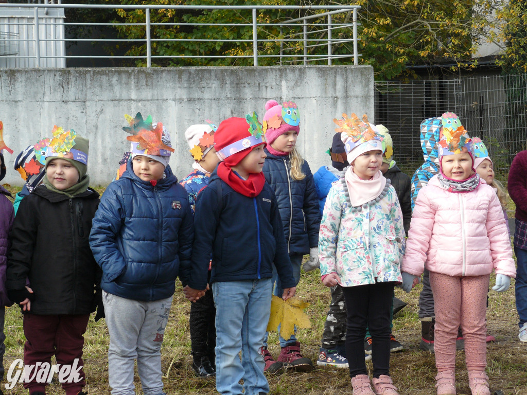 Osada Jana. Sadzenie drzew na skwerze przy Fiołków
