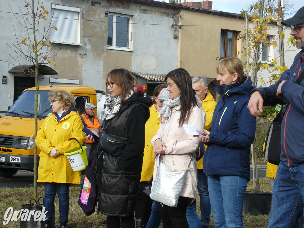 Osada Jana. Sadzenie drzew na skwerze przy Fiołków