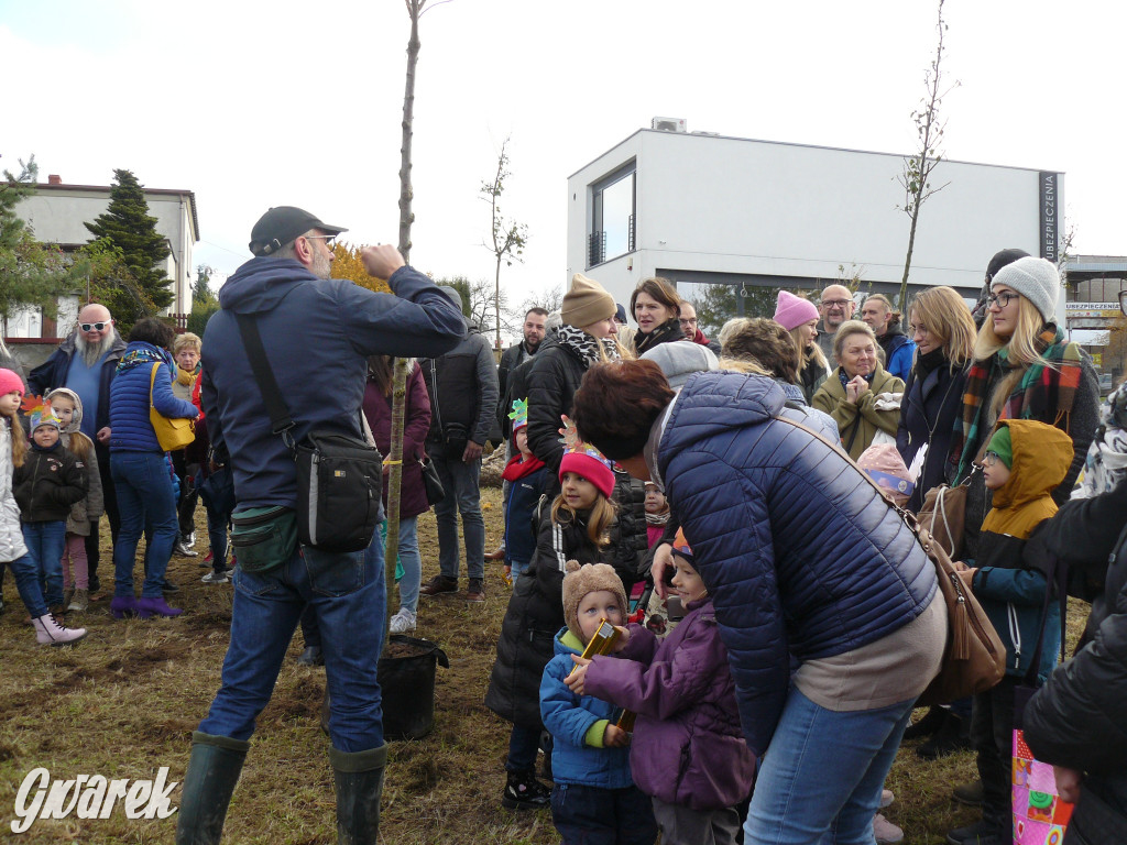 Osada Jana. Sadzenie drzew na skwerze przy Fiołków
