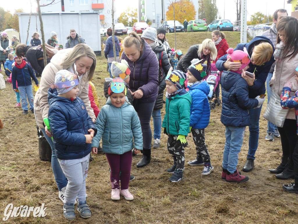 Osada Jana. Sadzenie drzew na skwerze przy Fiołków