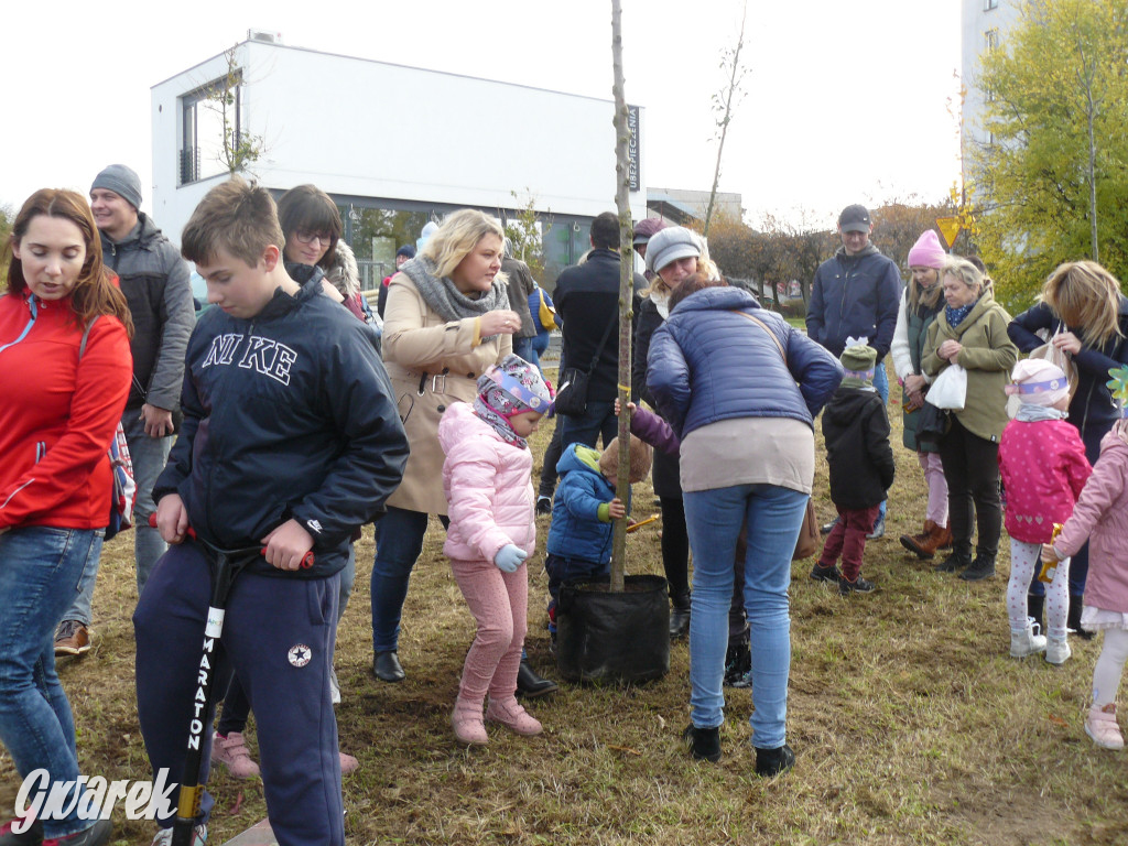Osada Jana. Sadzenie drzew na skwerze przy Fiołków