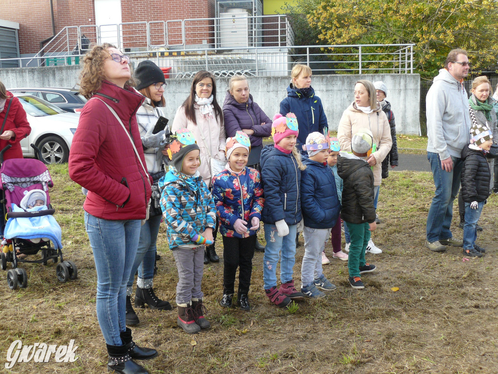 Osada Jana. Sadzenie drzew na skwerze przy Fiołków