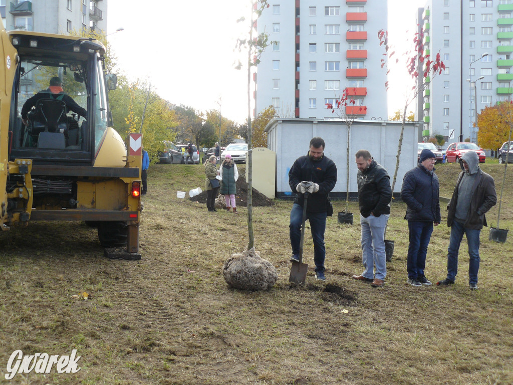 Osada Jana. Sadzenie drzew na skwerze przy Fiołków