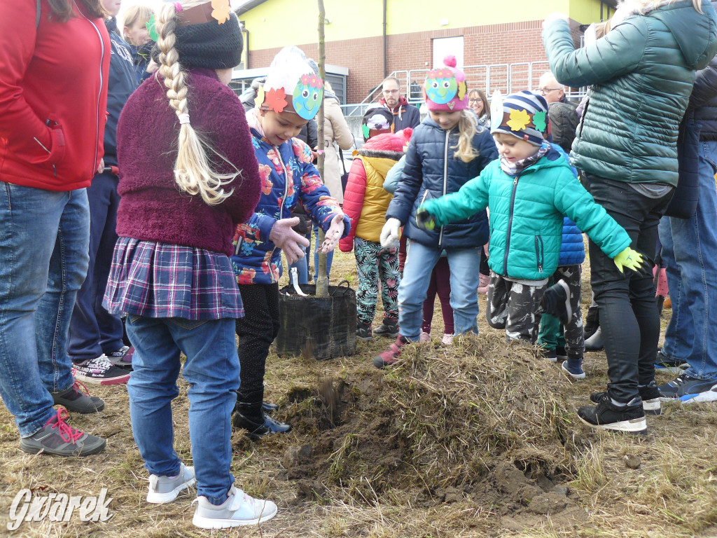 Osada Jana. Sadzenie drzew na skwerze przy Fiołków