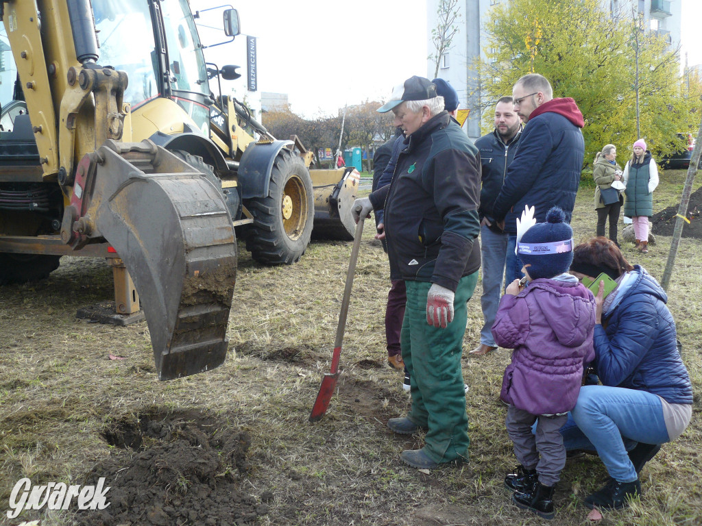 Osada Jana. Sadzenie drzew na skwerze przy Fiołków