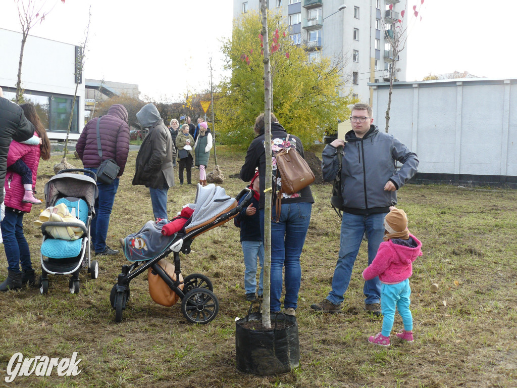 Osada Jana. Sadzenie drzew na skwerze przy Fiołków