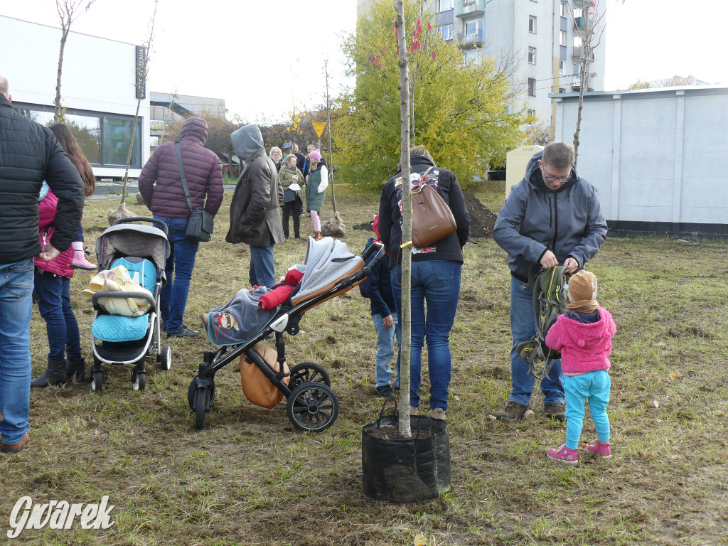 Osada Jana. Sadzenie drzew na skwerze przy Fiołków