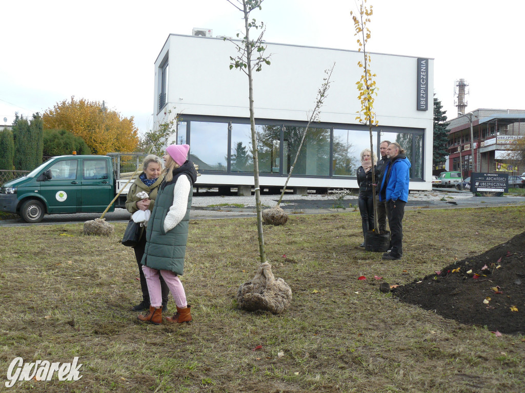 Osada Jana. Sadzenie drzew na skwerze przy Fiołków