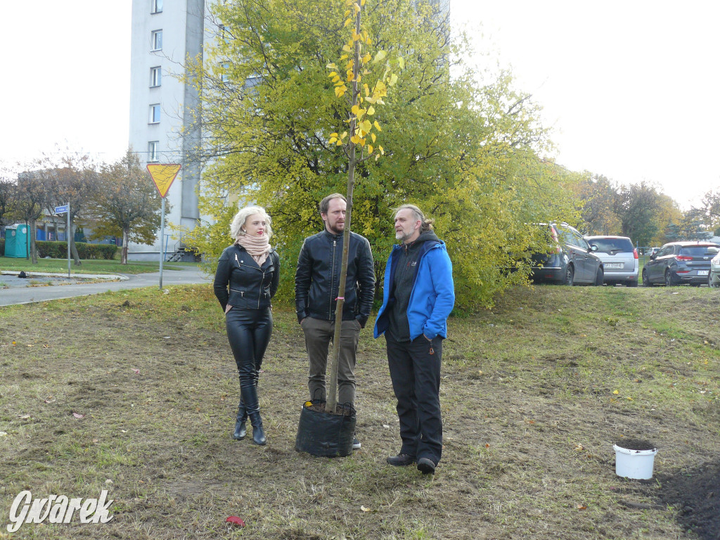 Osada Jana. Sadzenie drzew na skwerze przy Fiołków