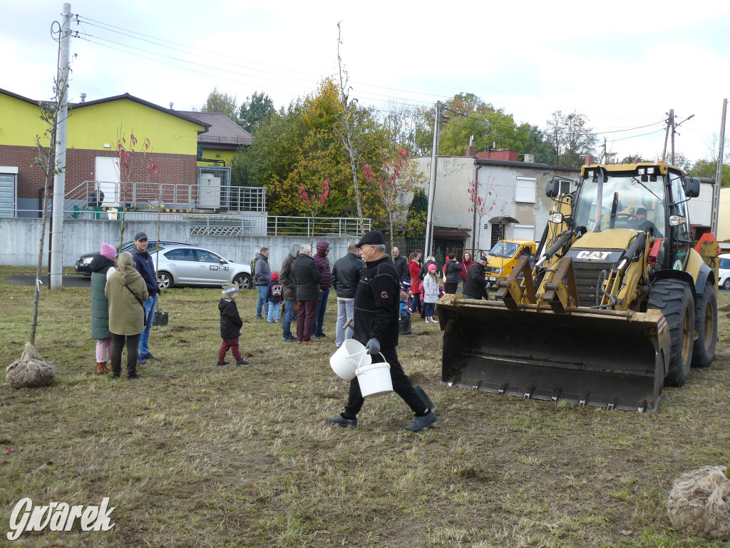Osada Jana. Sadzenie drzew na skwerze przy Fiołków