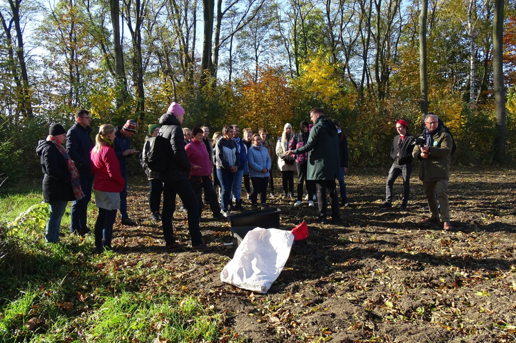 Kwietne łąki w Reptach Śląskich i Radzionkowie