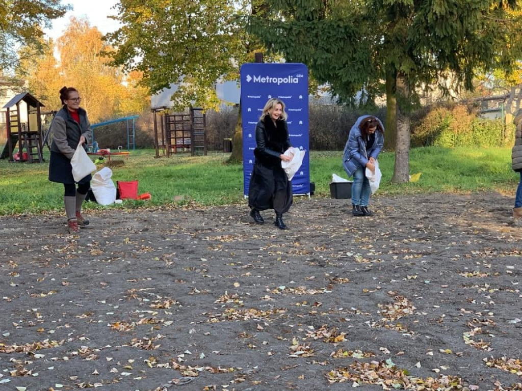 Kwietne łąki w Reptach Śląskich i Radzionkowie