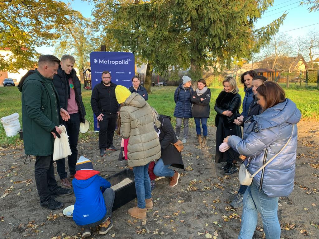 Kwietne łąki w Reptach Śląskich i Radzionkowie