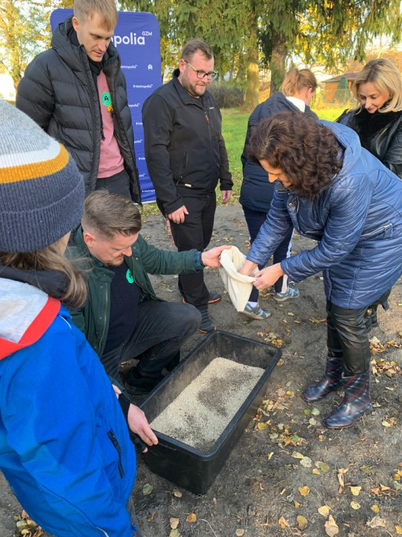 Kwietne łąki w Reptach Śląskich i Radzionkowie