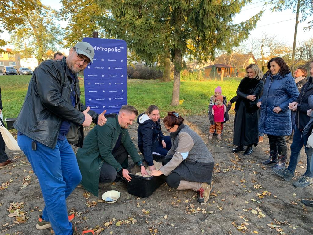 Kwietne łąki w Reptach Śląskich i Radzionkowie