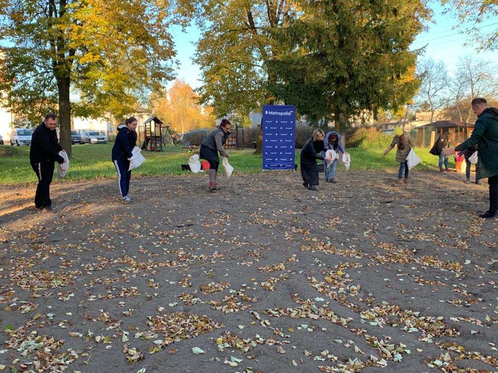 Kwietne łąki w Reptach Śląskich i Radzionkowie