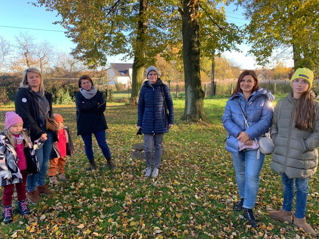 Kwietne łąki w Reptach Śląskich i Radzionkowie