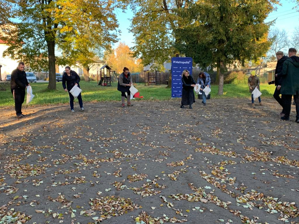 Kwietne łąki w Reptach Śląskich i Radzionkowie