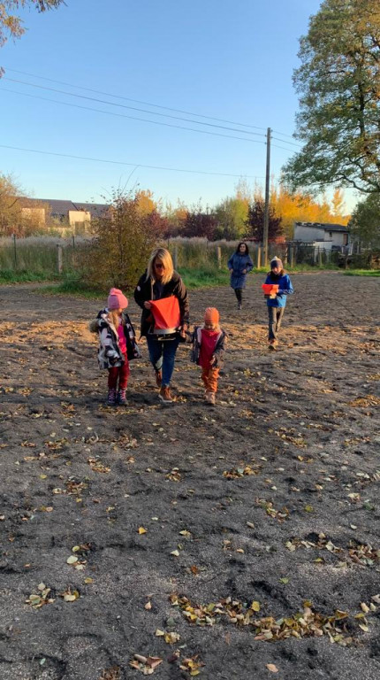 Kwietne łąki w Reptach Śląskich i Radzionkowie