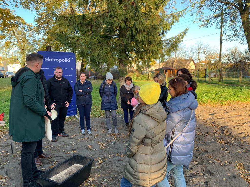 Kwietne łąki w Reptach Śląskich i Radzionkowie
