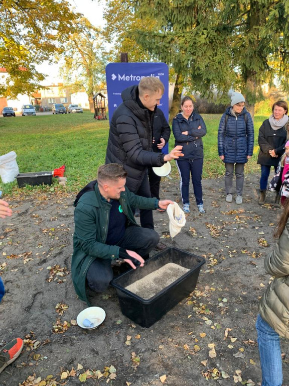 Kwietne łąki w Reptach Śląskich i Radzionkowie