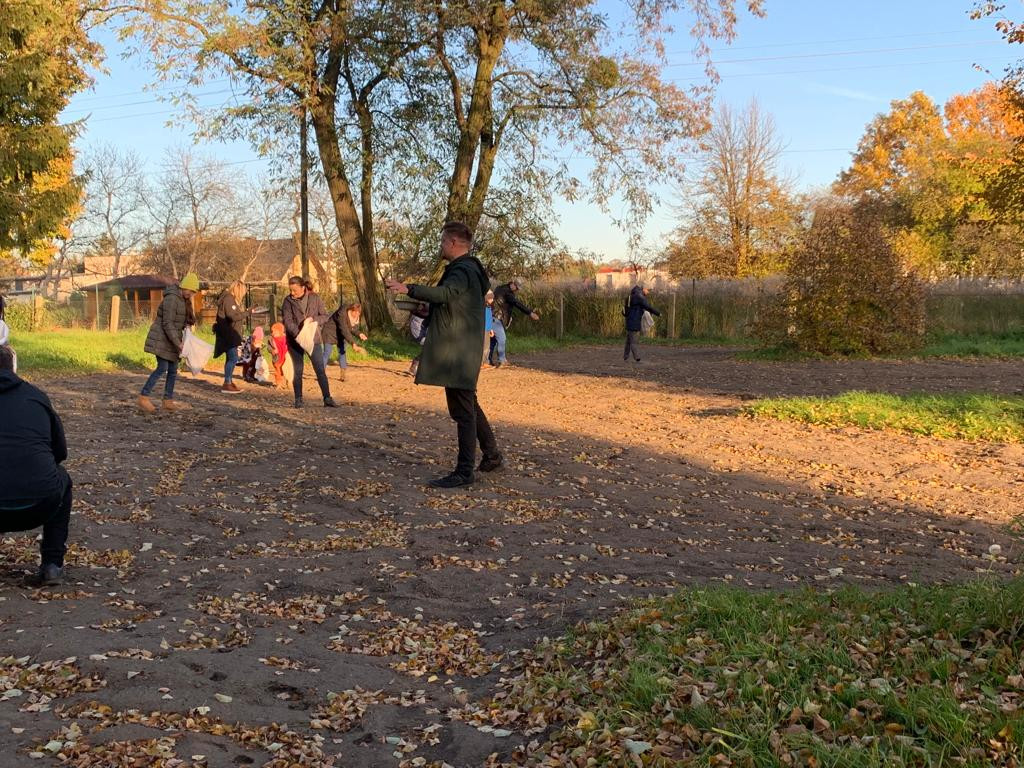 Kwietne łąki w Reptach Śląskich i Radzionkowie