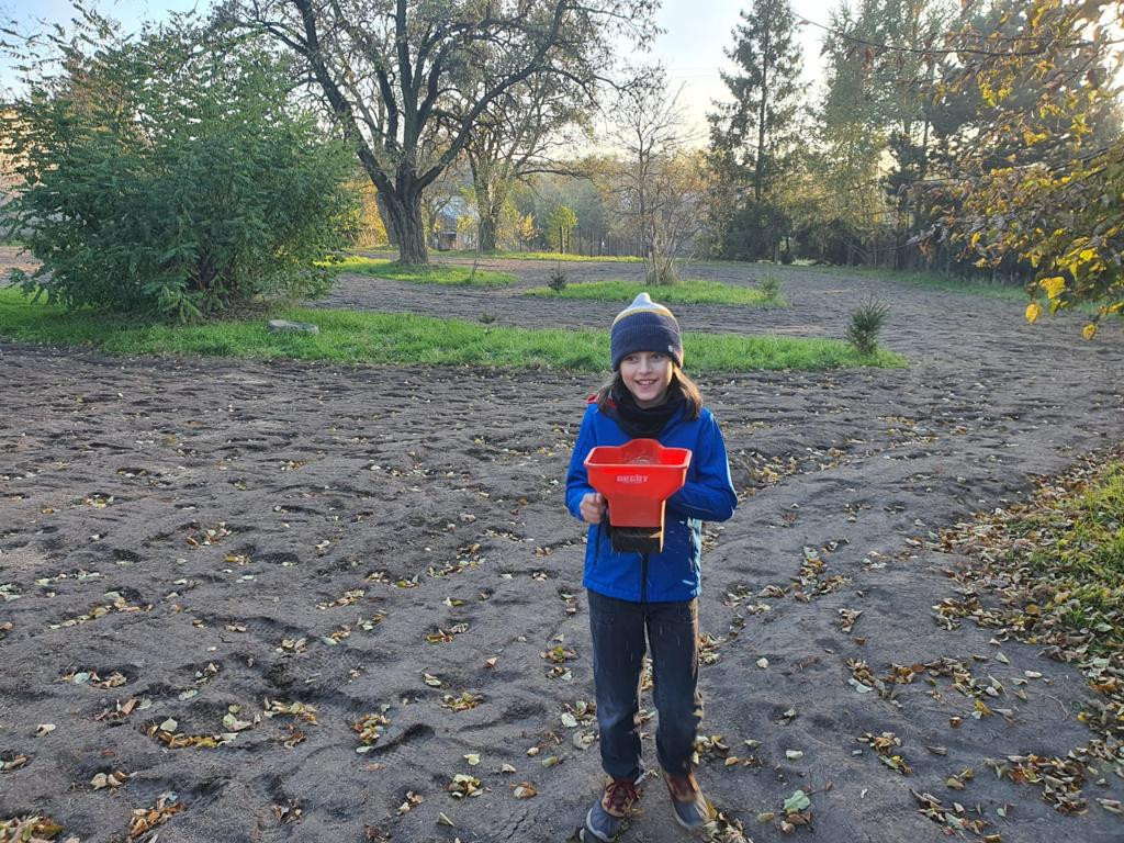Kwietne łąki w Reptach Śląskich i Radzionkowie