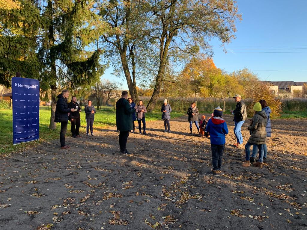 Kwietne łąki w Reptach Śląskich i Radzionkowie