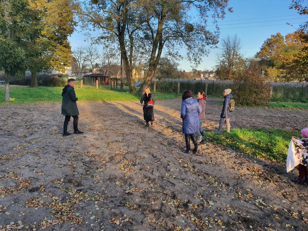 Kwietne łąki w Reptach Śląskich i Radzionkowie