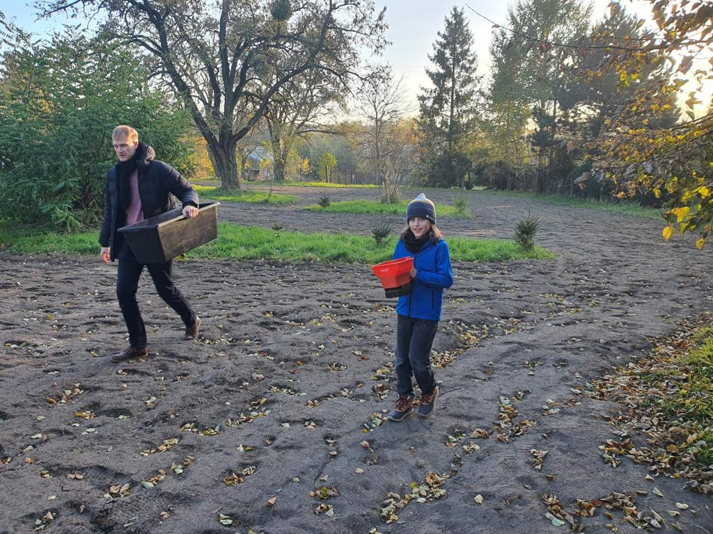Kwietne łąki w Reptach Śląskich i Radzionkowie