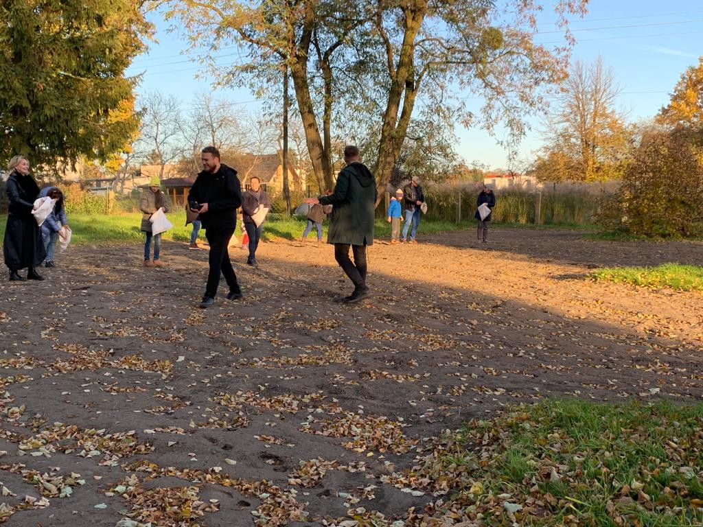 Kwietne łąki w Reptach Śląskich i Radzionkowie