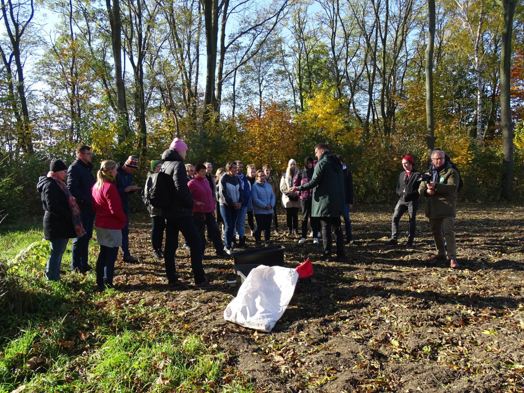 Kwietne łąki w Reptach Śląskich i Radzionkowie