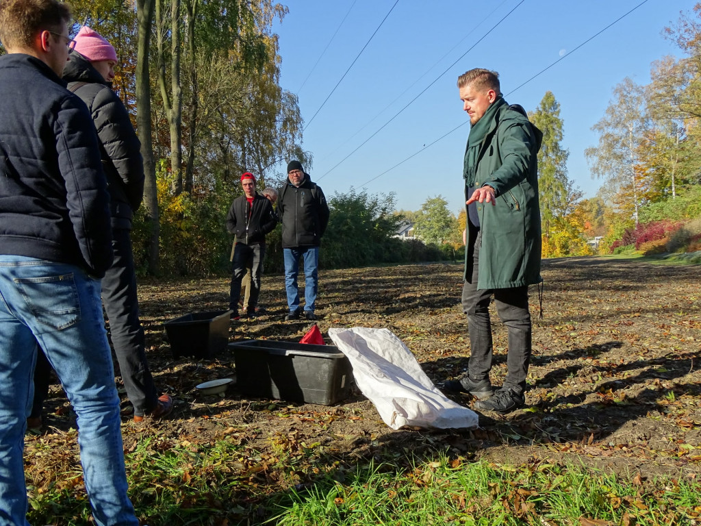 Kwietne łąki w Reptach Śląskich i Radzionkowie