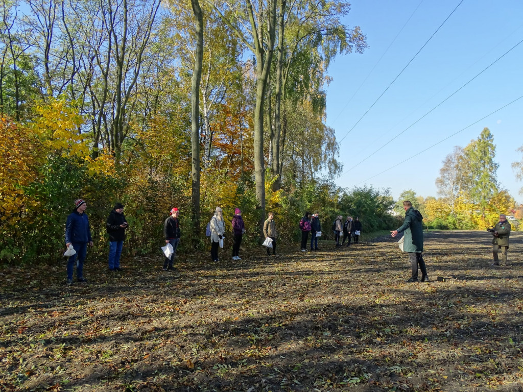 Kwietne łąki w Reptach Śląskich i Radzionkowie